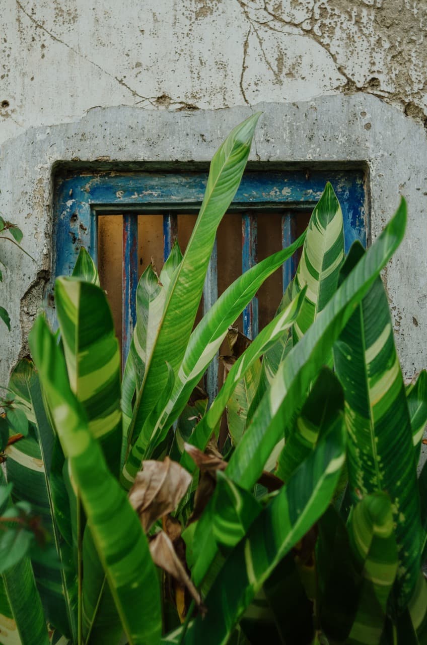 Превью Sri Lanka 2022